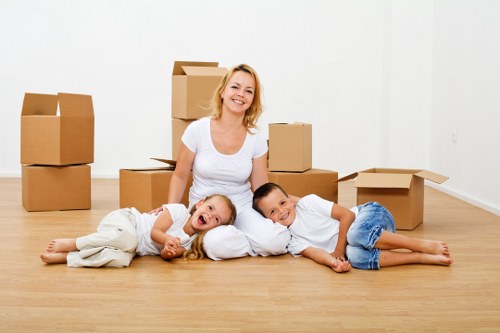 Careful loading of boxes and household items into a van